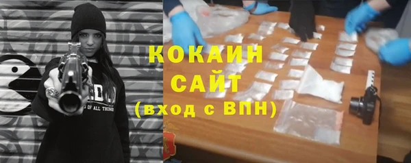 хмурый Сосновый Бор